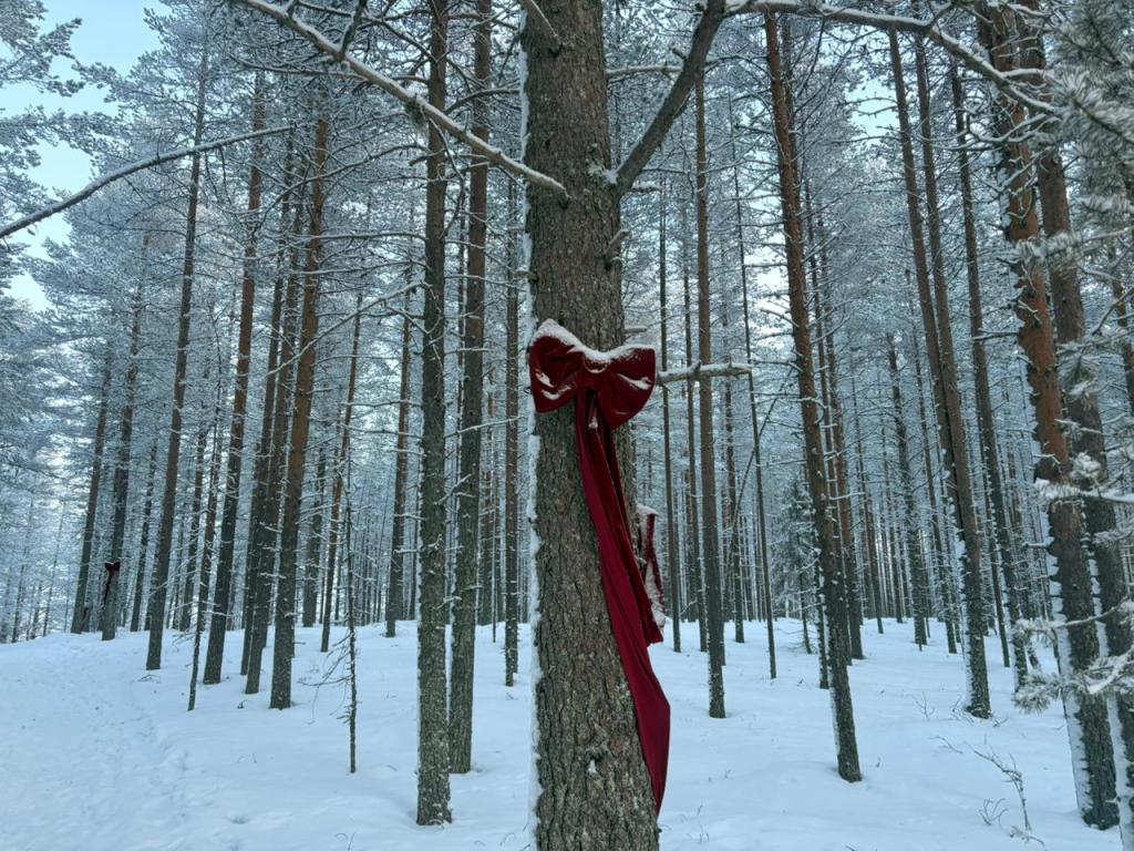 Minha mãe, eu vou pra Lapônia e seja o que Deus&nbsp;quiser